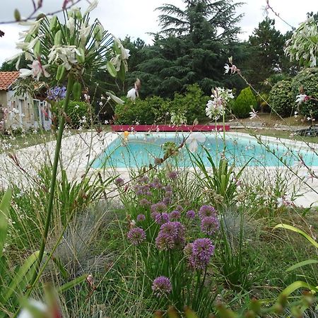 Villa Entiere Du Chateau Lacroix De Civrac 3 Ch, 3 Sdb, Piscine Xxl,Sauna, 4 Etoiles,7 Pers Exterior foto